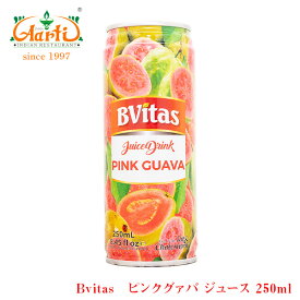 Bvitas ピンクグァバ ジュース 250ml ×12缶 フルーツジュース 果実ドリンク インドのドリンク 神戸アールティー 通販