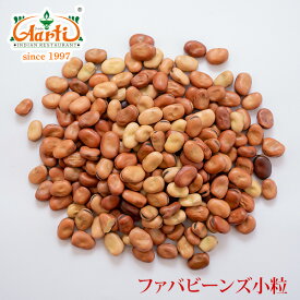 ファバビーンズ 小粒 20kg　Fava Beans Broad Bean 空豆 ソラマメ 乾燥豆