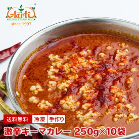 【20%OFF】激辛キーマカレー 250g×10袋 送料無料Super Hot Keema Curry 激辛 ひき肉 キーマ カレー インドカレー チキンカレー 通販 スパイス 神戸アールティー