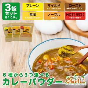 y1000~|bLz6ނIׂ IWiJ[pE_[ Vst 100g×3 䂤pPbgAarti Original Curry Powder
