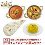 インドカレーお試しセット ≪初回限定≫ 冷凍便 神戸アールティー インドレストラン直送 インドカレー イ…