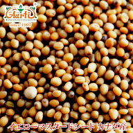 【楽天1位】 イエローマスタードシード カナダ産 1kg /1000g Yellow Mustard Seeds Canada 種 辛子 芥子