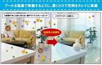 【在庫ありあす楽対応】オキサイダー置き型180g(約13畳有効期間3か月)【P2B】