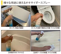 【在庫ありあす楽対応】オキサイダースプレー300ml(噴射回数約1000回)【P2B】