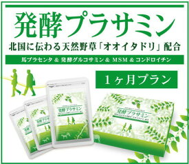 送料無料【発酵プラサミン 80粒×3袋（約1ヶ月分）】