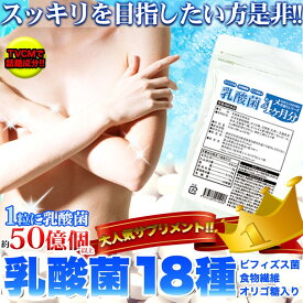 メガ盛り★乳酸菌サプリメントどっさり約4ヶ月分 120粒【P2B】