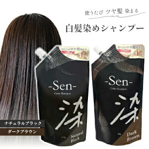 sRe  Sen ߃Vv[ J[Vv[ 450g i`ubN / _[NuE Vv[ ubN uE  F F