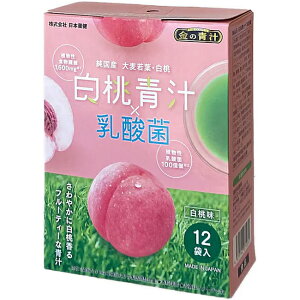 { ̐` `×_ 12ܓ `