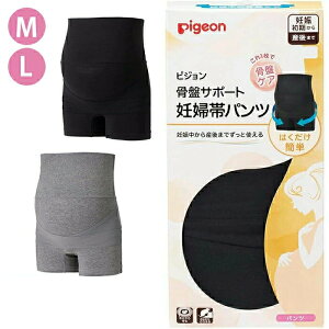 sW ՃT|[g Dwуpc ubN / O[ M / L