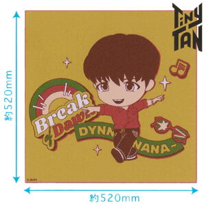 TinyTAN �����`�N���X J-hope�� �^�C�j�[�^�� �W�F�C�z�[�v��