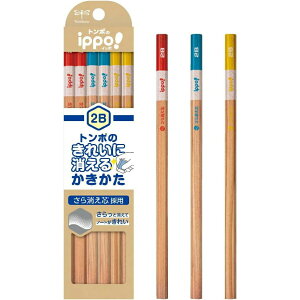 g{M 2B ꂢɏ M (c) 1_[X i` KB-KSKN01-2B