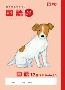 wK m[g  12sR NP28 TNNpX Ē×C