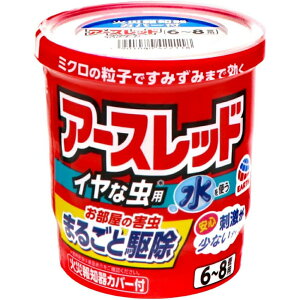 A[X A[Xbh CȒp 񉌍  6~8p 10g