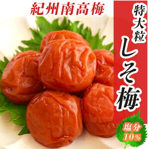 ~  Ԃ~ (1pbN/380g) 10% IB썂~ VR gp ~ Ԃ~ h~ 嗱~ IB썂~Ԃ~ ~ ̂Ȃ ς ~ IB썂~