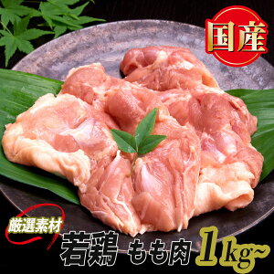 Y { Jbgς  |[V ( 1pbN / 1Kg ) { { Ⓚ  { { Ƃ { 炠  ppbN Jbg { ^pbN ~ Ƃ胂 
