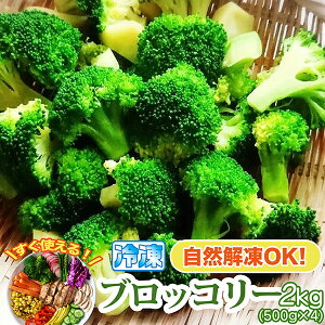 ubR[ Ⓚ ̂܂܎g pp }Ⓚ Ɩp T_ ٓ Ⓚ   4Kg y 4 x 500g z