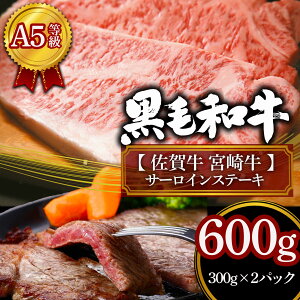 yA4.A5z ꋍ  {苍 T[C Xe[L Hה v600g(e300g)  Mtg Xe[L  јaXe[L a Xe[L Ԃ O 蕨 ̎ʔԍt