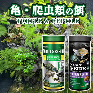 TURTLE & REPTILE TE঒ށEޗpv~Aa 80gb^pNEt[T|[gbɂ^Cv T̉a   80g deep a GT  jICubN J T t