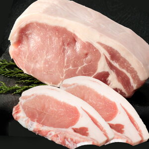 Ε Vcƌi戵X XX I n[u [X IĂ ؓ ؘ Ԃ Ԃ ؂ Mtg Ε