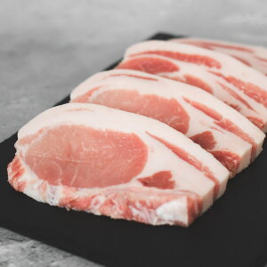 Ε RhdĂ̓؃[X / Ԃ ֗ȏ  ؓ Mtg Vcƌi戵X XX̂n[u