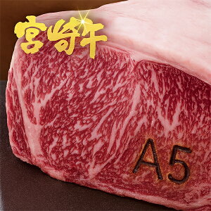 Ε Ɍ A5N {苍 qXe[L 300g×2 v600g јa Y ؂ e_[C tBXe[L qXe[L wXe[L  Xe[Lp Mtg j p j
