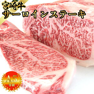Ε ̑唻T[C {苍 A5A4 600gi300g×2j јa ґMtg a ̓ j ē Xe[L j { T[C A5 Mtg