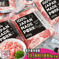 [5の日クーポン]国産 小分け パック ご自宅用 大量 真空包装 冷凍 豚肉 豚こま肉 長期保存 切り落とし肉 …
