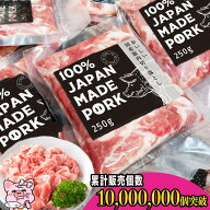 国産 小分け パック ご自宅用 大量 真空包装 冷凍 豚肉 豚こま肉 長期保存 切り落とし肉 250 真空パック …