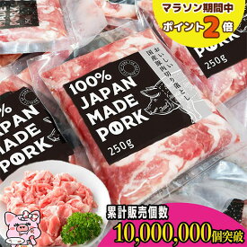 [P2倍マラソン限定/5の日クーポン] 国産 小分け パック ご自宅用 大量 真空包装 冷凍 豚肉 豚こま肉 長期保存 切り落とし肉 250 真空パック こま 切り落とし 非常食 一人暮らし 国産豚肉 九州産 ぶた肉 こま切れ 豚こま切れ 生姜焼き 肉 国産肉