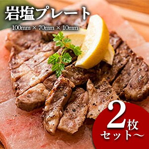 q} ≖v[g 100mm × 70mm × 10mm /1 ̂ЂTCYŎgՂ Lv BBQ o[xL[ ē Hp  ubN   i ՗ q}\g \Lv ͂ ɍ