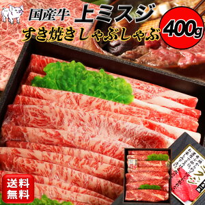 Ε  Mtg Y  ~XW XCX 400gĂ ~XW ݂ ₫ Ăp Ԃԗp XCX Ԃԗp Ăp Ă 