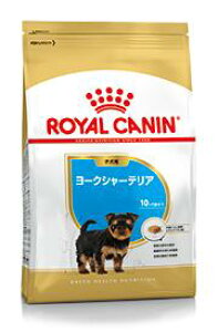 y}g^Az(kCEꏜ)z[CJi] u[h wX j[gV [NV[eA qp (10܂) 500g