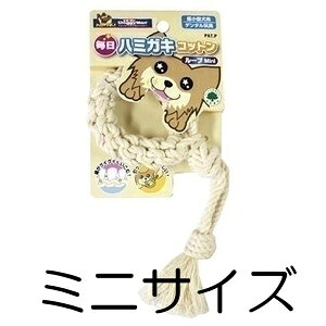 ylR|X6OKzhM[} n~KLRbg [v Mini/~jTCY