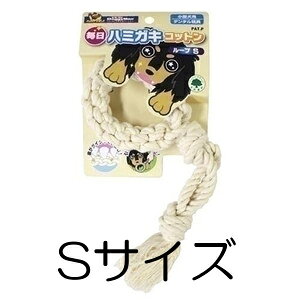 hM[} n~KLRbg [v STCY