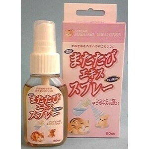 ݂z|@܂уGLXXv[@50cc (ybg/L/lR/}^^r/Y)