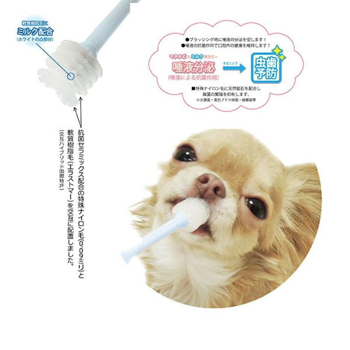 338円 全国宅配無料 ペッツルート Petz Route ミルクわん歯ブラシ 338円 全国宅配無料 ペッツルート Petz Route ミルクわん歯ブラシ