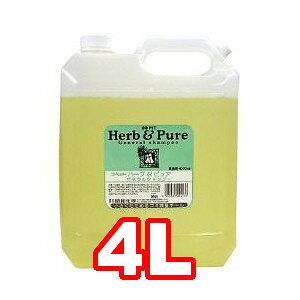 y(kCE͏)zaw@REybg@n[usA@[lVv[@4bg (ybg///Vv[/Y)