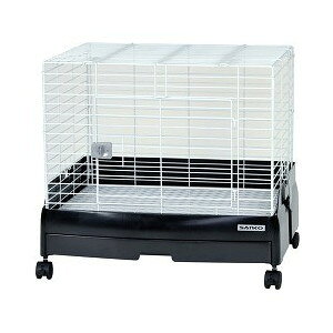 y(kCE͏jzOW C[W[z[ G{ 60 ubN C51 (ybg//ETM/P[W/160)