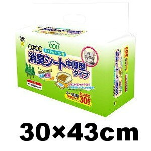 X[p[Lbg@VXegCp LV[g ^^Cv 30 (ybg/L/lR/gC//IVbR/L/R/|)