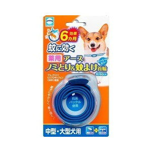 y[2ElR|X4OKzA[XEoCIP~J pm~Ƃ聕悯 ^E^p (ybg//ċG/Y)