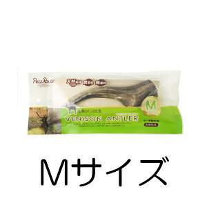 ybc[g xj\Ag[ MTCY ^`^