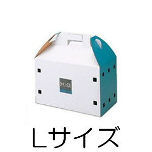 ЃWv@ybg{bNX A[g^Cv LTCY (ybg//L/lR/}/o/^/ĝ)