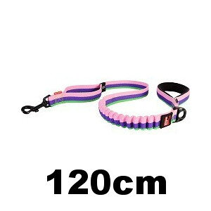 EZDOG@[VbN 120cm ouK ^`^