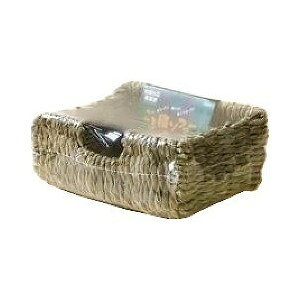 @y SQ\t@[ (ybg//ETM/)