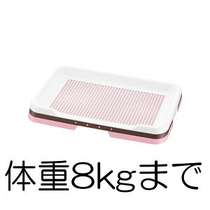 b`F |ȒPXebvg[ M[ CgsN (ybg///IVbR/120-)