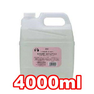 n[gh@]CbNN@V[gVv[(EZїp)@4000ml (ybg//L//C/Y/c/n/e/T/l/^/ێ/hbOV[)