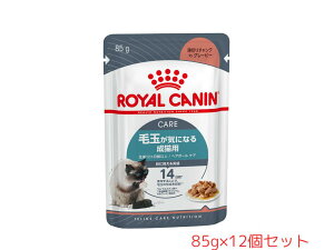 yz[CJi] tB[C PA j[gV EFbg wA{[ PA ыʂCɂȂ鐬Lp 85g×12Zbg pE`@h{H