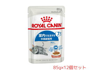 yz[CJi] tB[C wX j[gV EFbg ChA 7+ O[r[ Ő钆Lp 7Έȏ 85g×12ZbgyŐ钆Lph