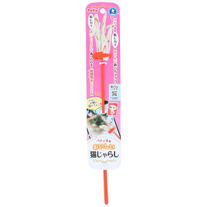 ���y���[����2��OK�z�L�p�������� �y�e�B�I�̂��������L����炵