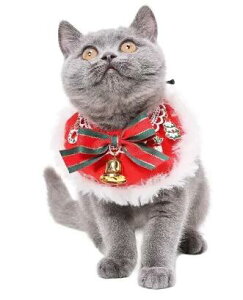 yA[NXzCat Amo.k@Xfmas@X^C@`[J[@TCY@Lp@Ŏgp^Cv